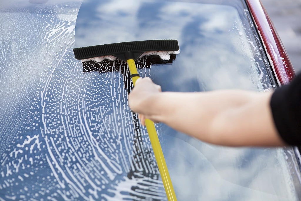 Pet Hair Rubber Broom with Squeegee
