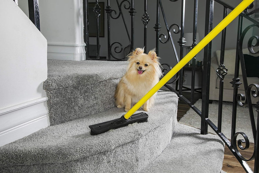 Pet Hair Rubber Broom with Squeegee